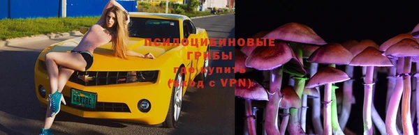 гашик Покровск