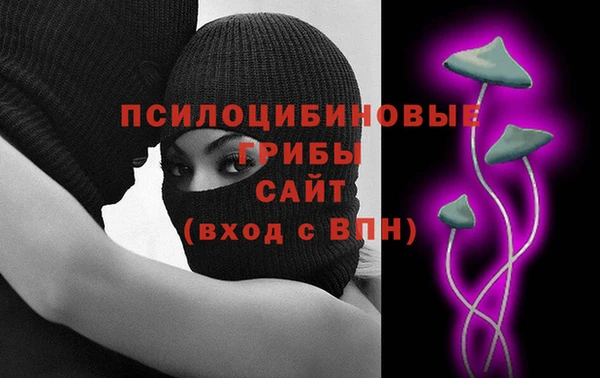 хмурый Ельня