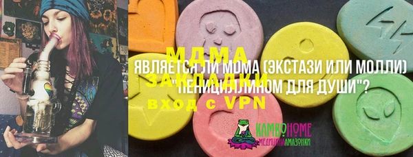 гашик Покровск